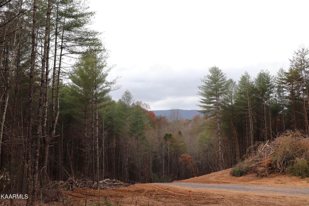 186 Campground Rd - Photo 1