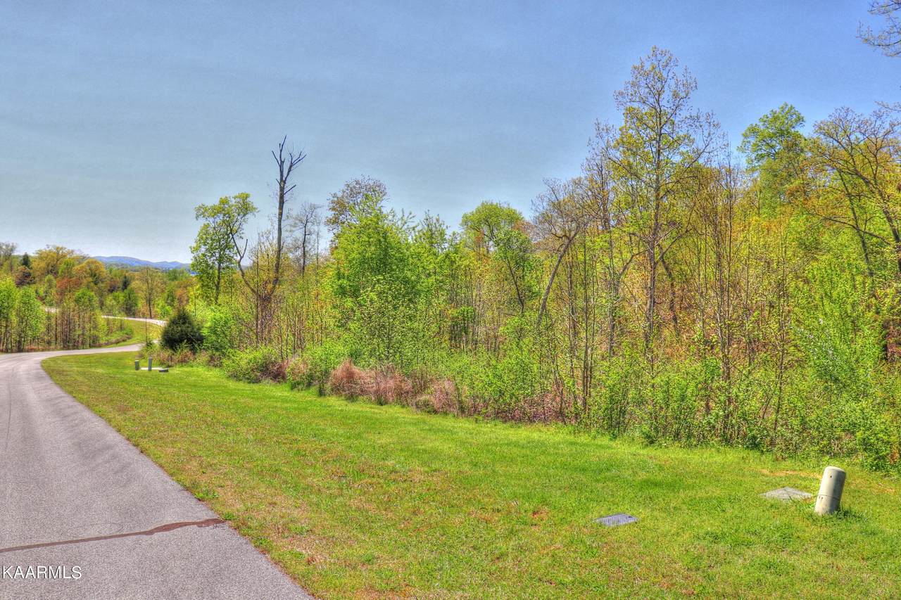 Lot 361 Water View Drive - Photo 1
