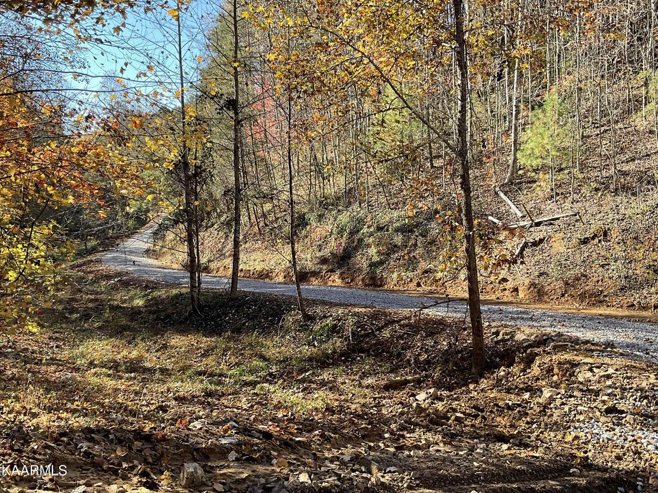 Breezy Rd - Photo 1
