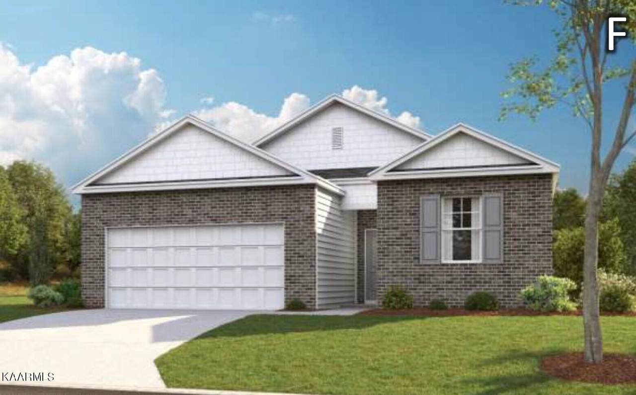 9527 Avian Forest Lane - Photo 1