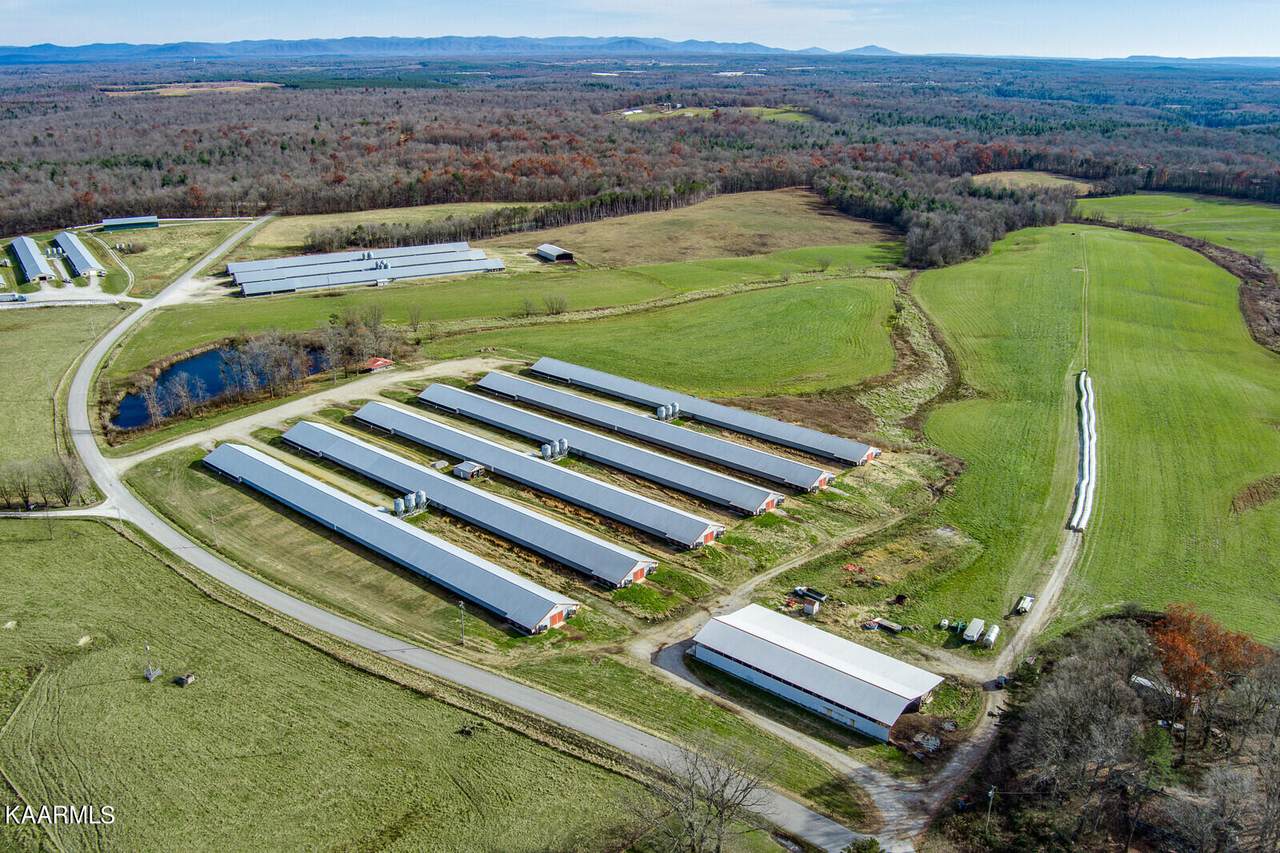 4248 Gatewood Ford Rd - Photo 1