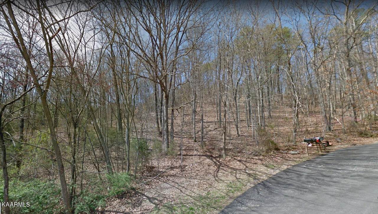 Pleasant Valley Drive - Photo 1
