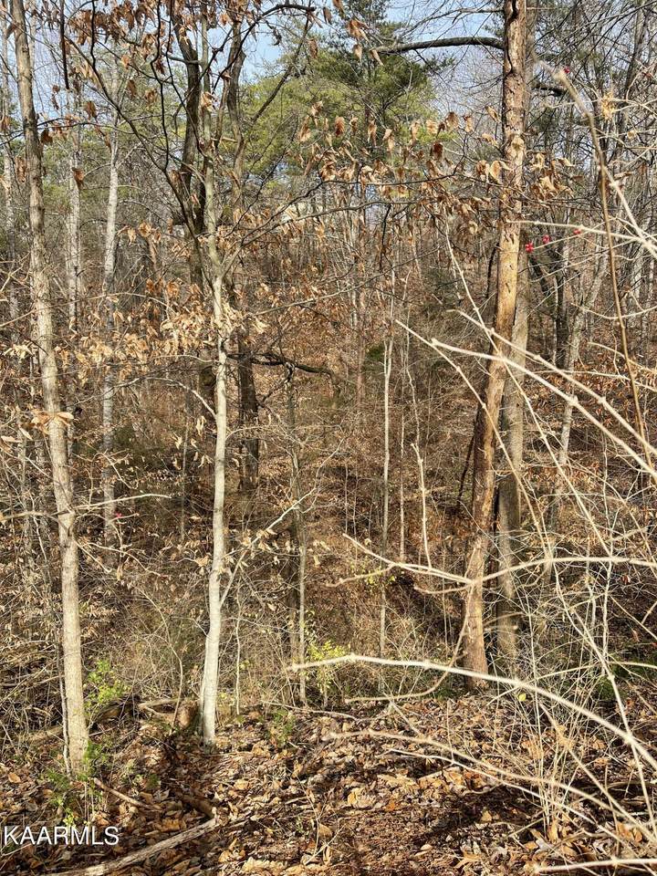 County Road 652 Lot 5 - Photo 1