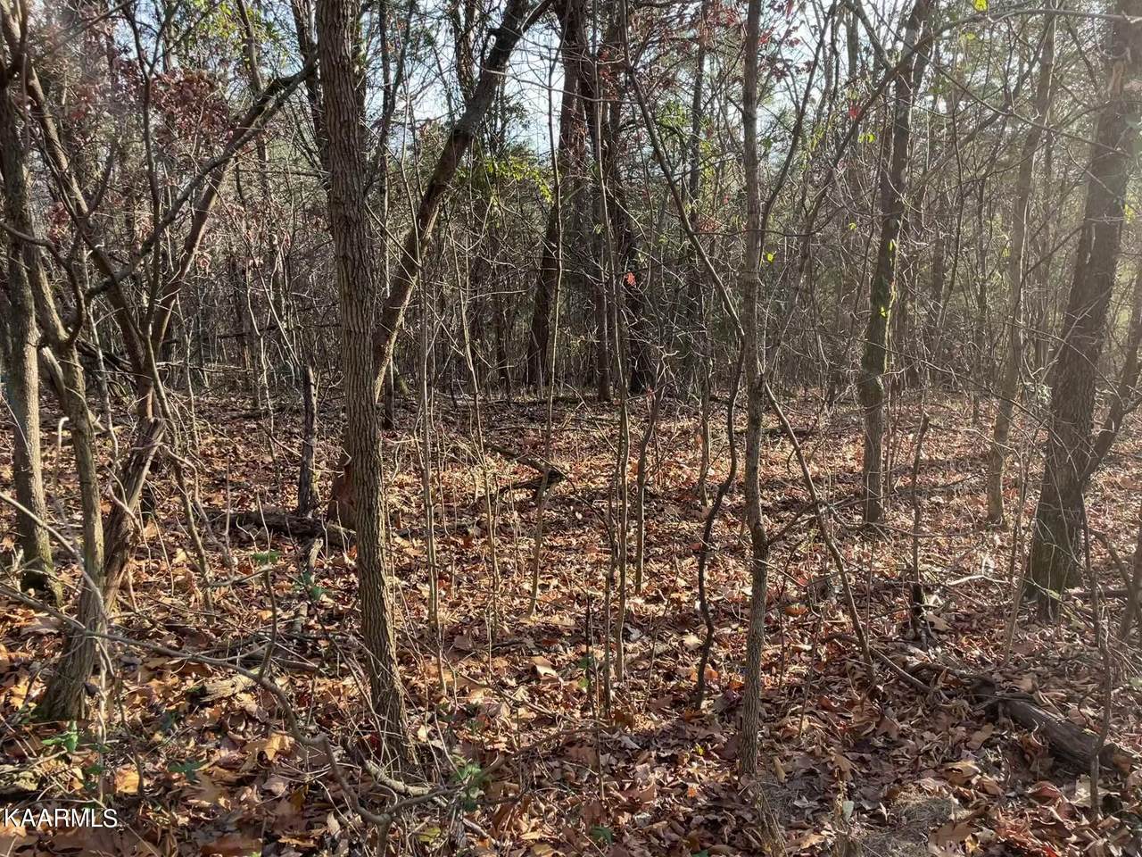 Lot 18 Sandra Way - Photo 1