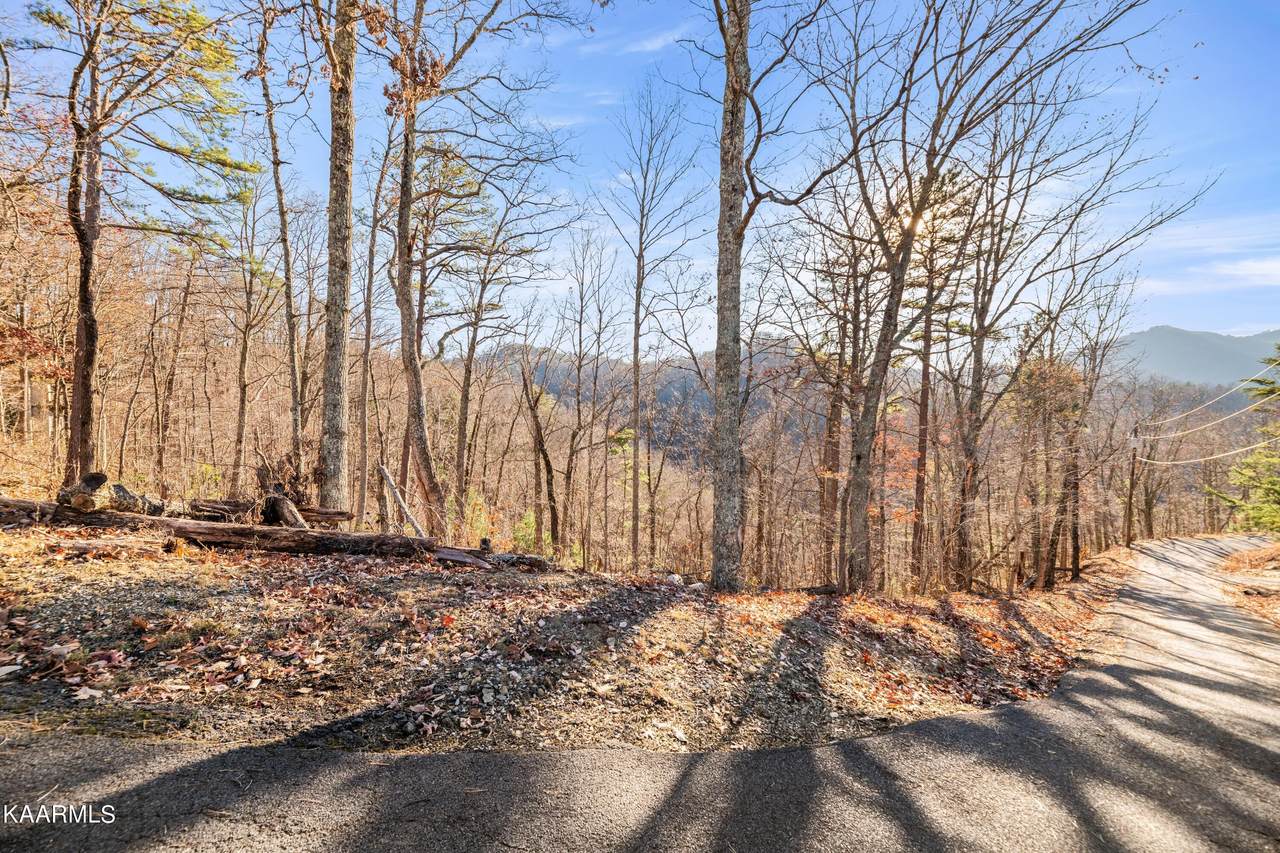 Lot 11 Headrick Lead - Photo 1