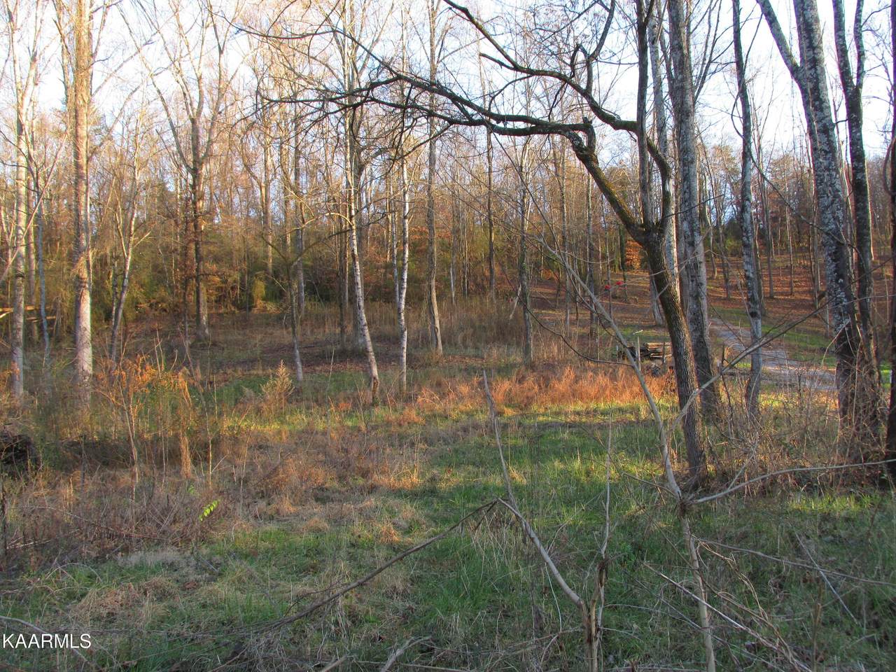 3781 Freels Rd - Photo 1