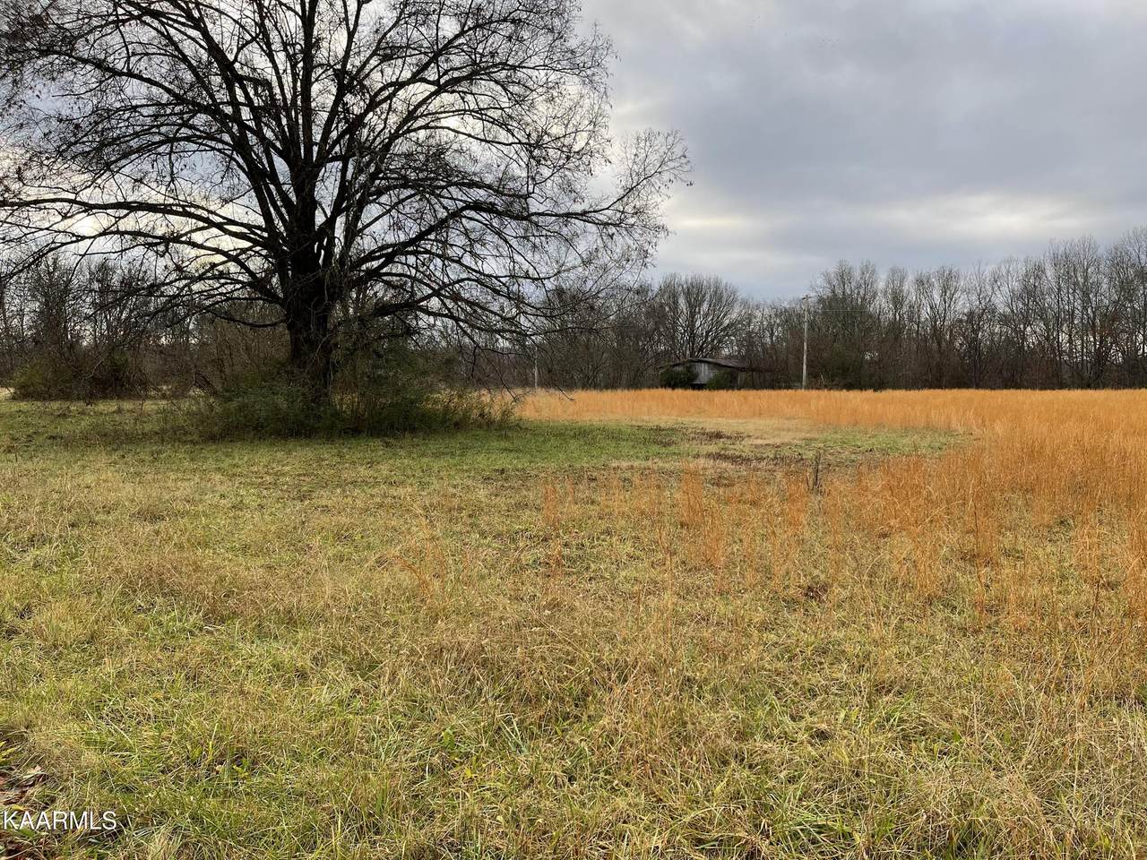 1515 Walker Rd - Photo 1