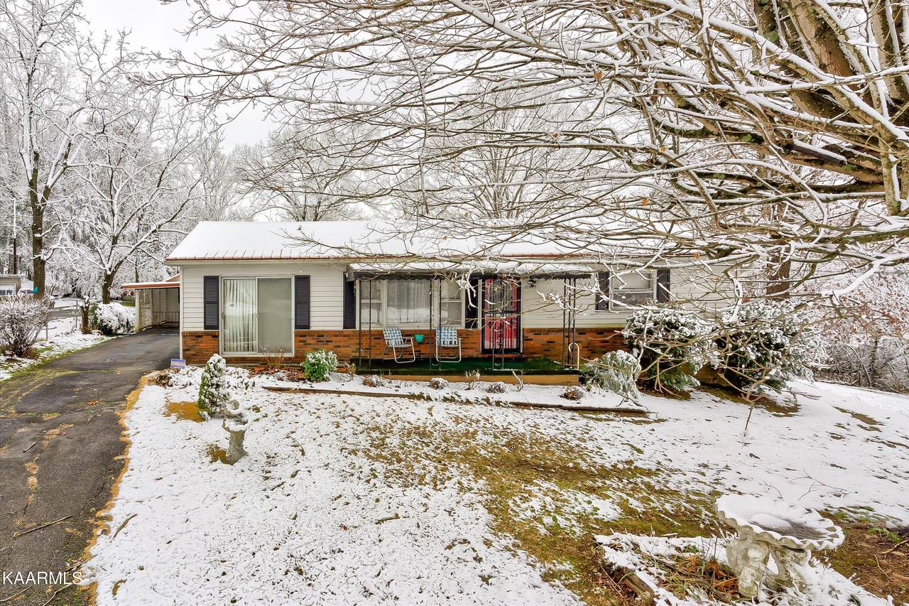 10413 Chapman Hwy - Photo 1