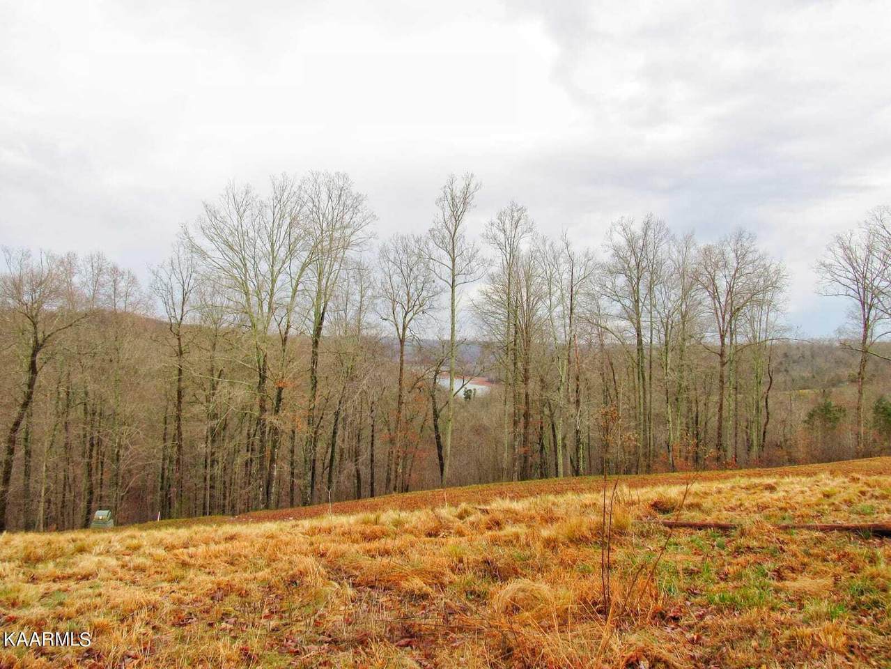 Lot 613 Prestige Ridge - Photo 1