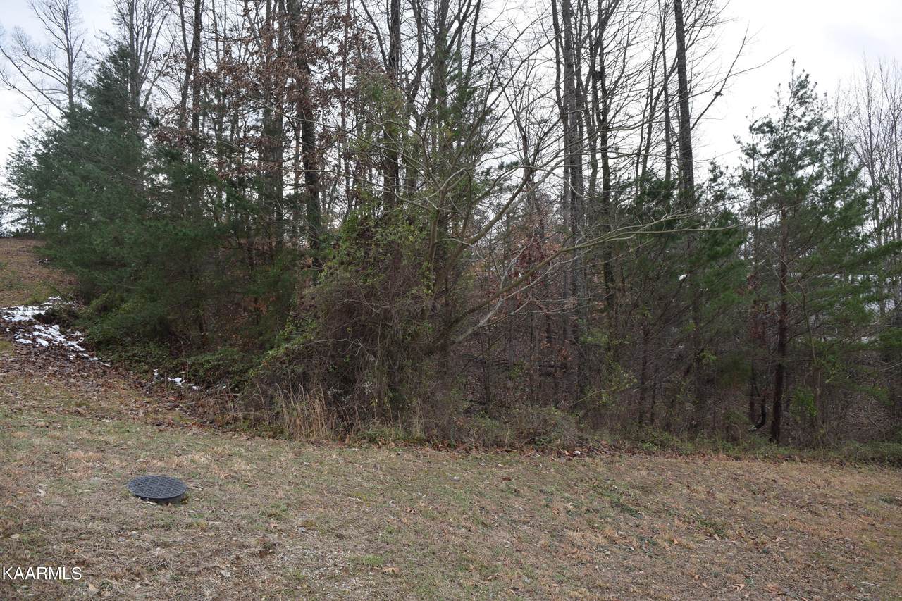 Lot 4 Hidden Ridge Phase 3 - Photo 1