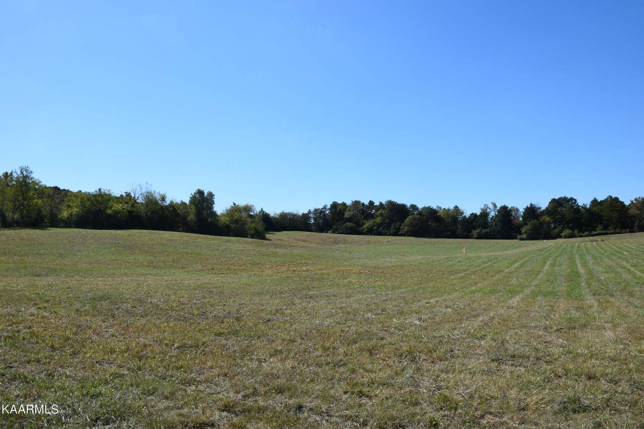 Lot 3 Wilkerson Lane - Photo 1