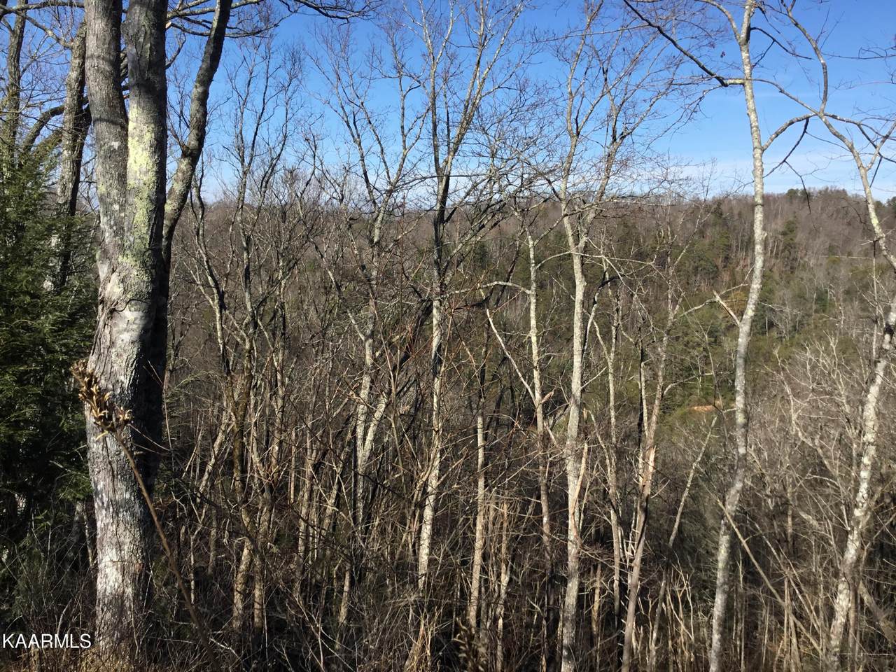 Lot 261 Ski View Lane - Photo 1