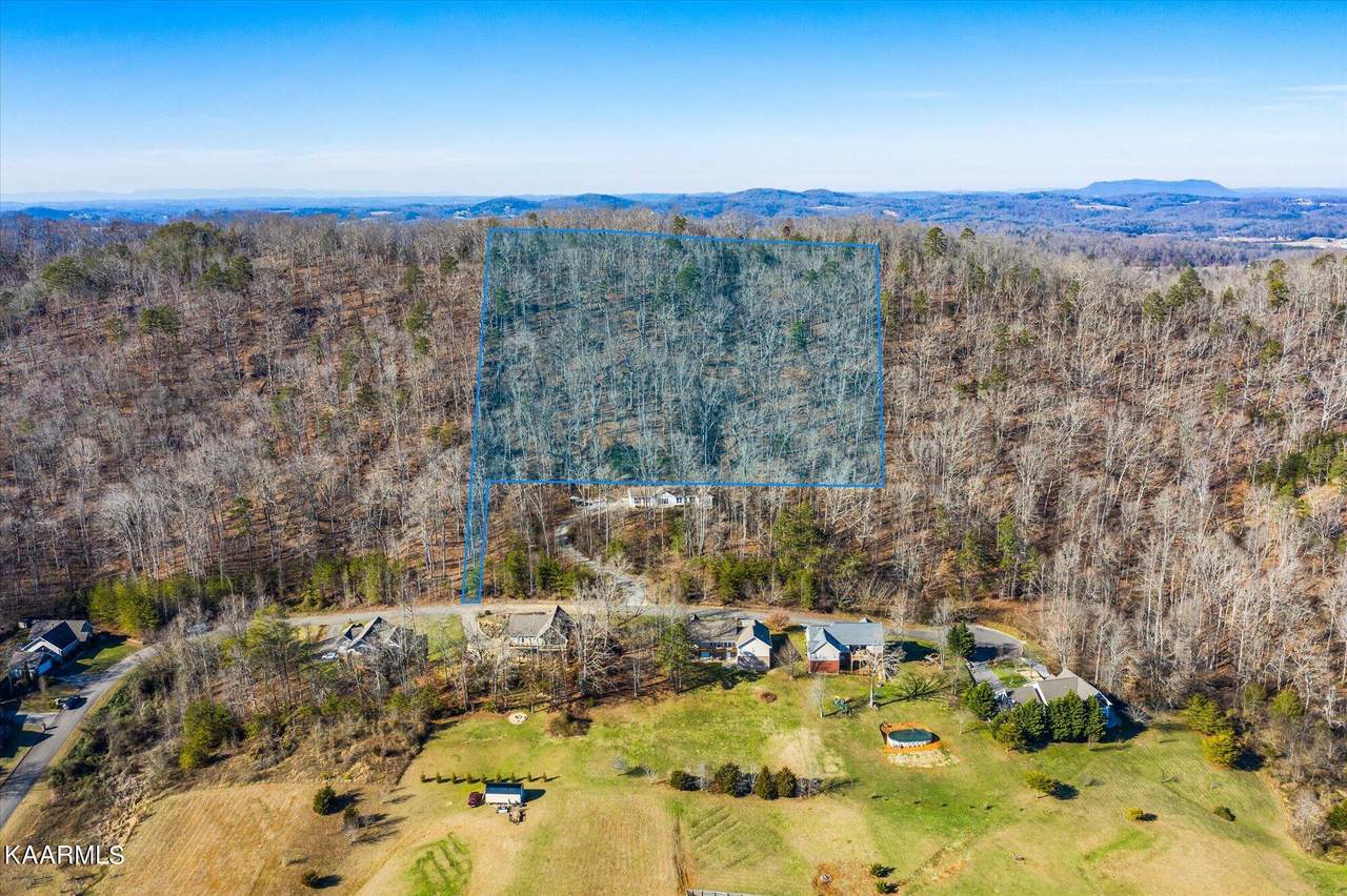 Mountain Grove Lane - Photo 1