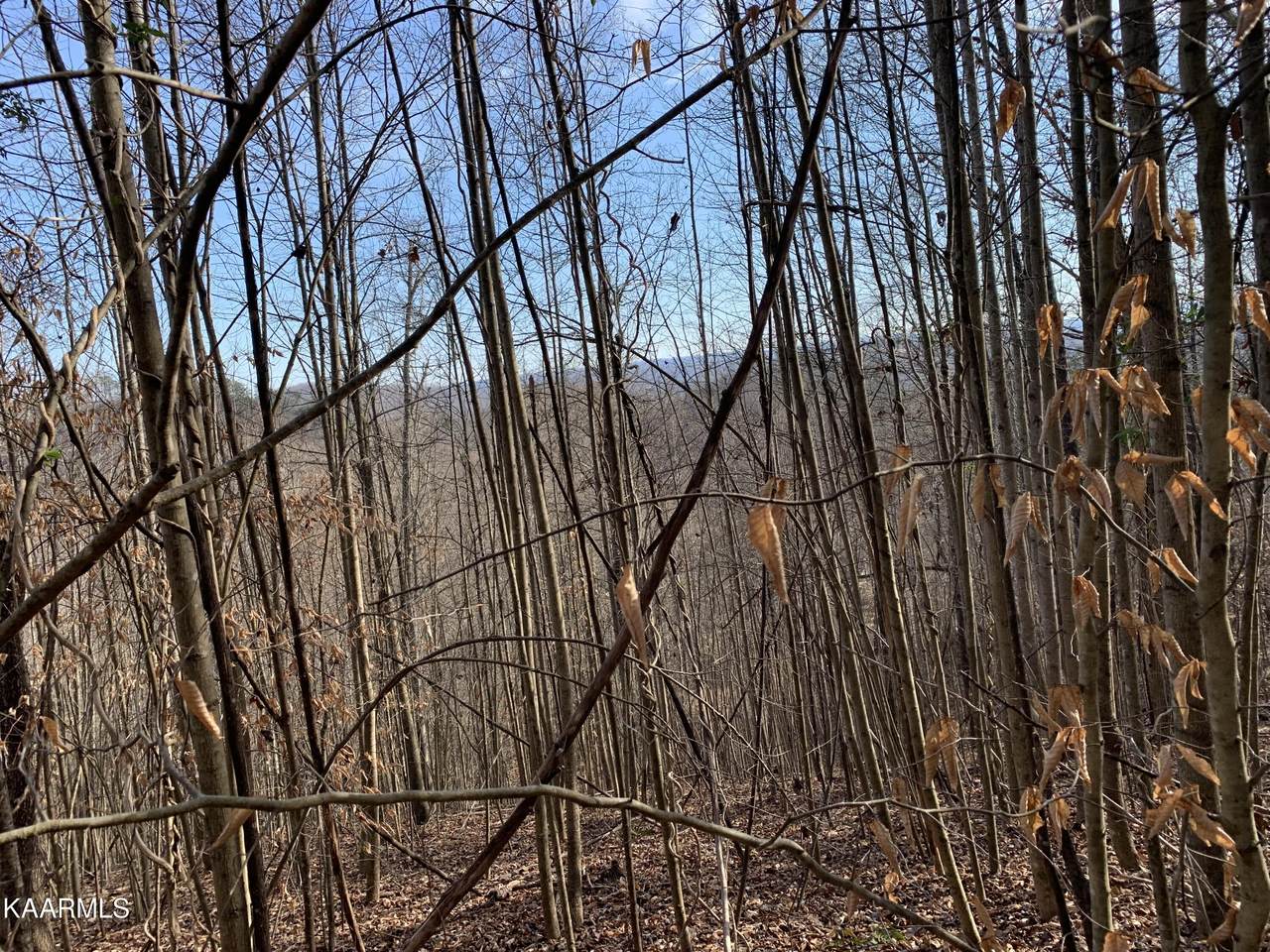 Lot 98 Chimney Rock Rd - Photo 1