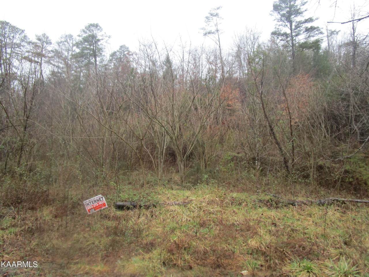 008 Tiger Lilly Drive - Photo 1