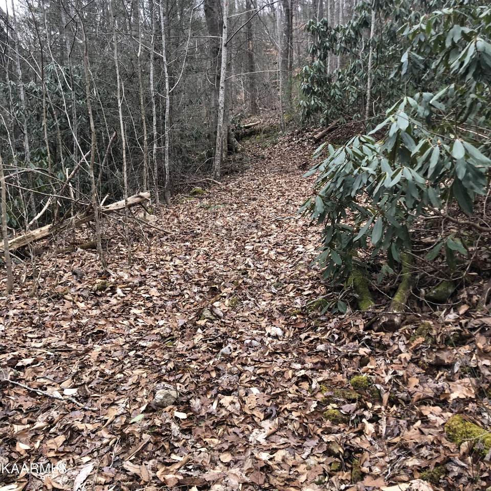 00 Holder Cemetery Rd - Photo 1