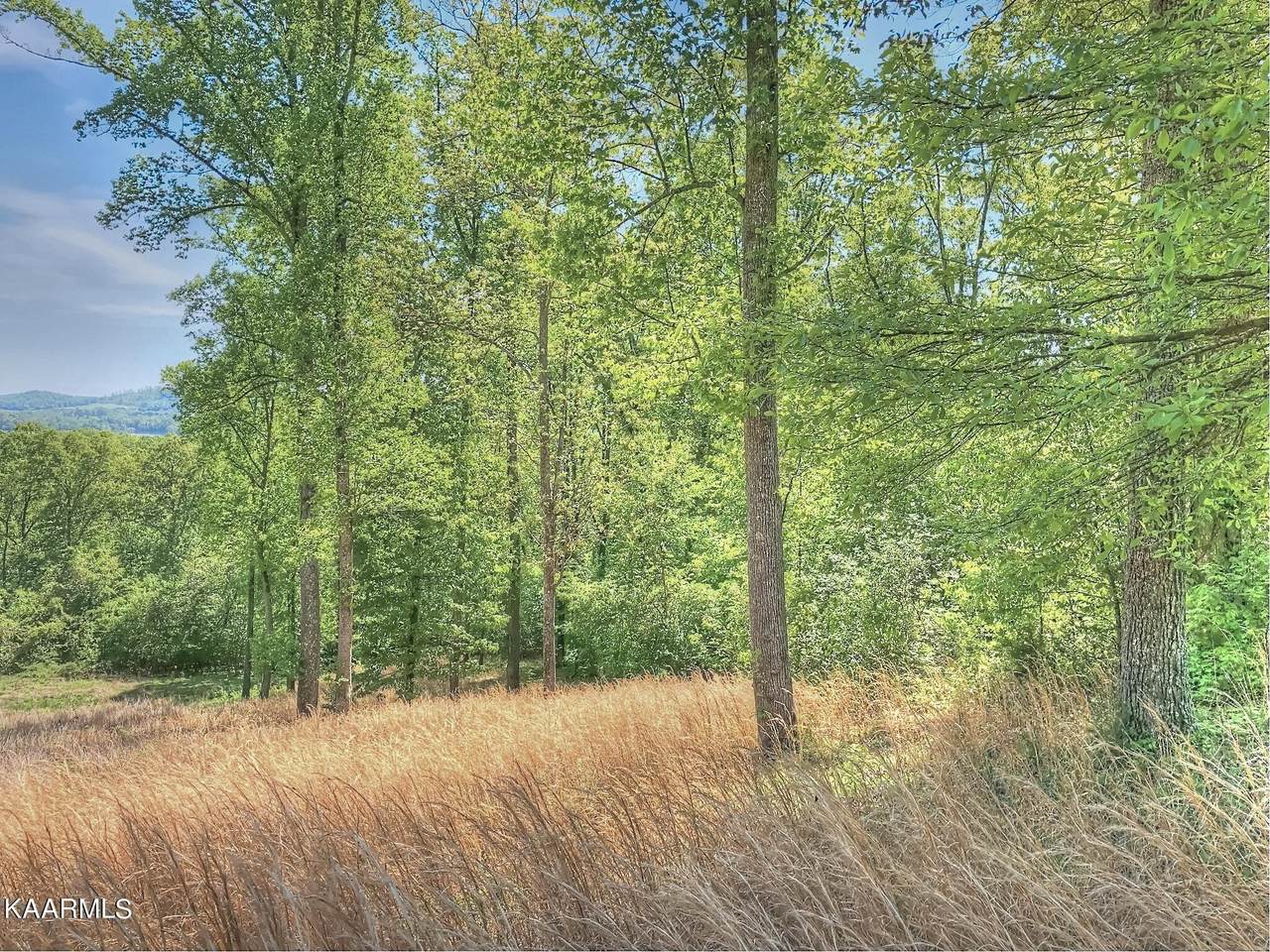 Lot 537 Eagle Ridge Drive - Photo 1