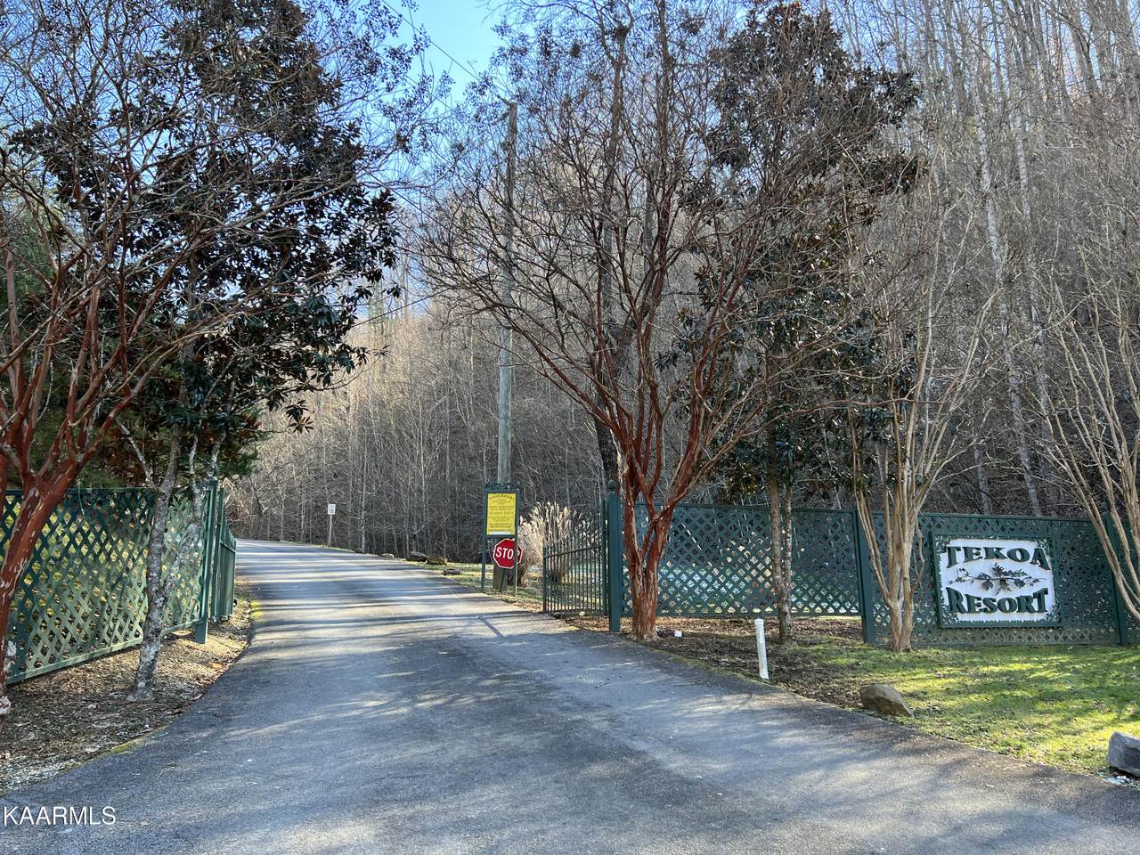 Tekoa Mtn Way - Photo 1