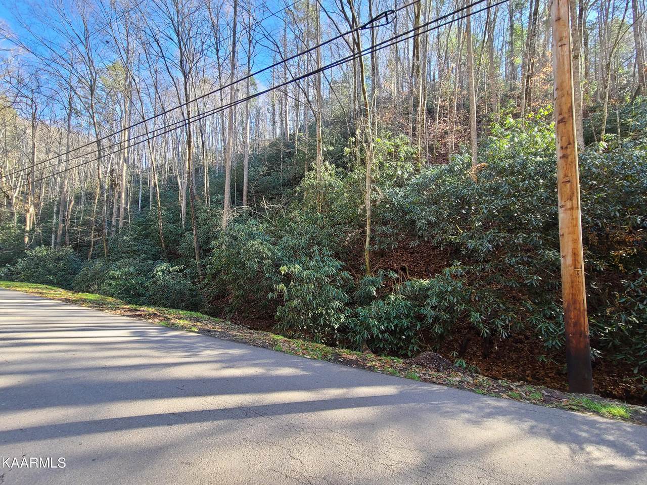 Lot 17 Butler Branch Rd - Photo 1
