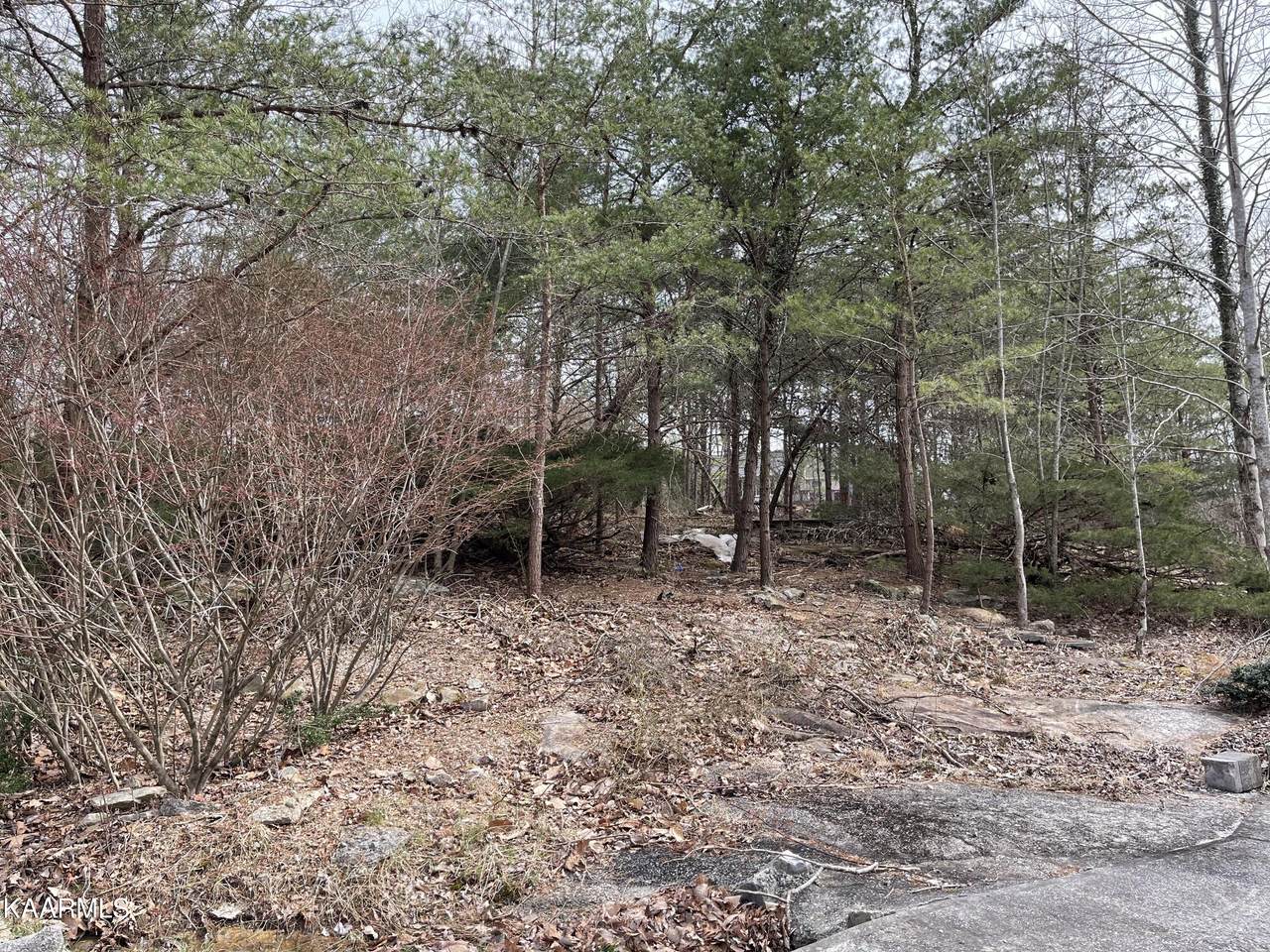 15 Winter Green Court - Photo 1