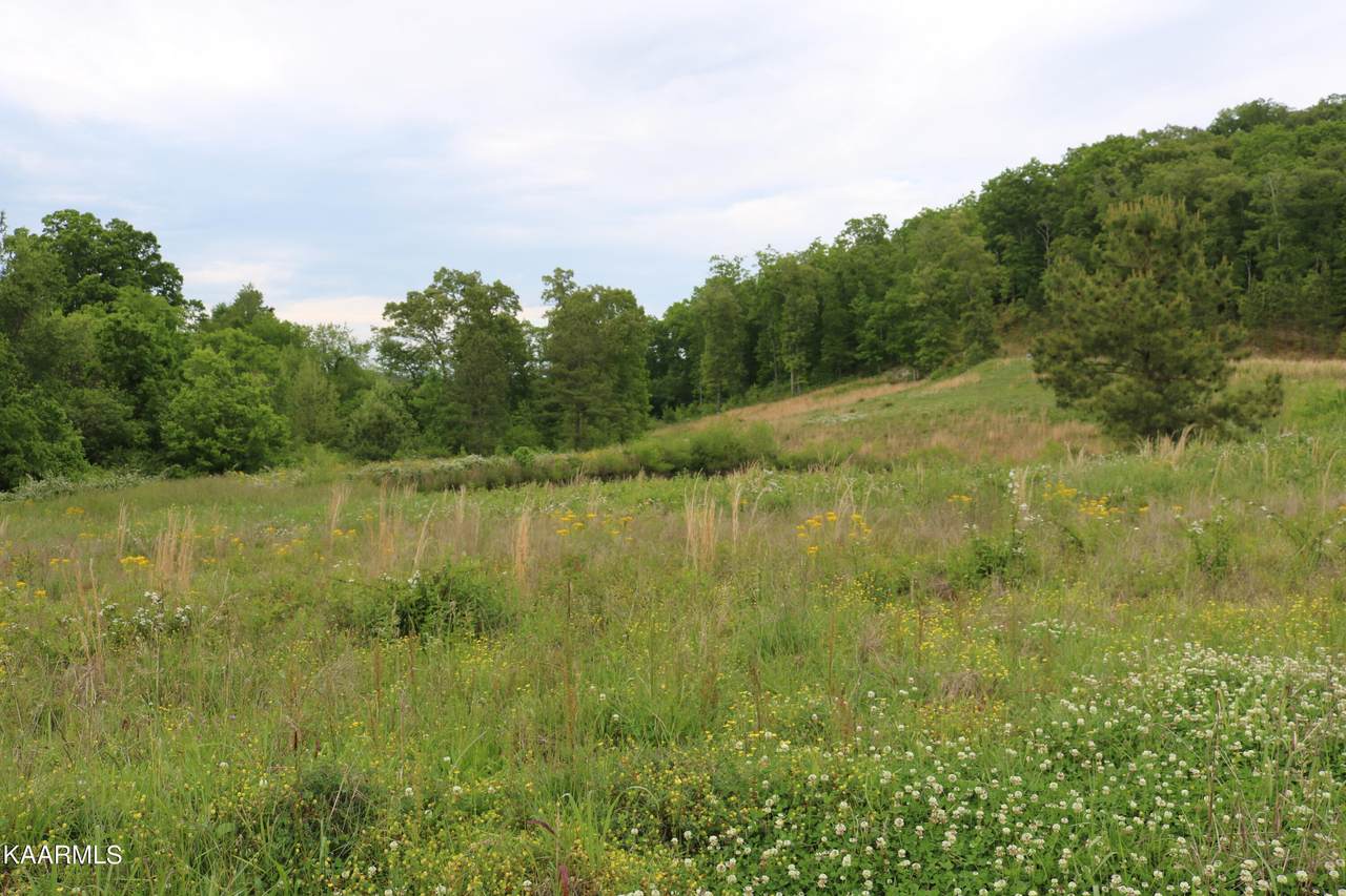 216 Lake Ferry Drive - Photo 1