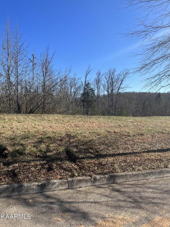 117 Pineberry West Rd - Photo 1