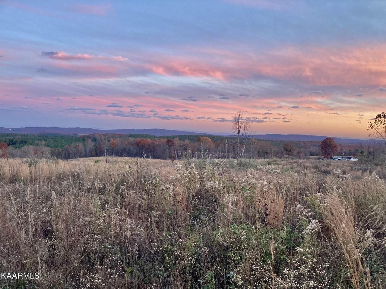 Lot #1 Off Millstone Mountain Rd - Photo 1