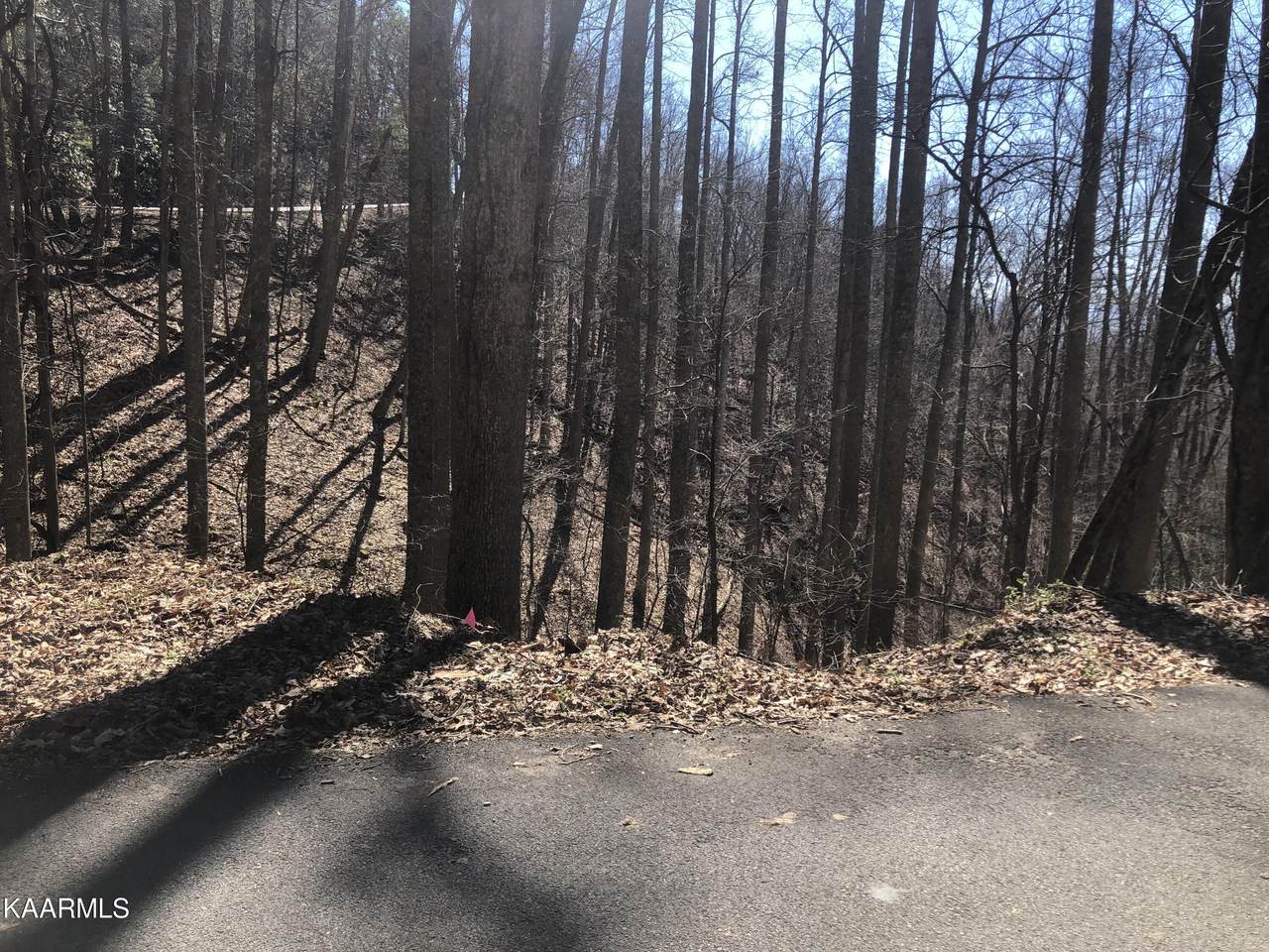 Lot 13 Alpine Drive - Photo 1