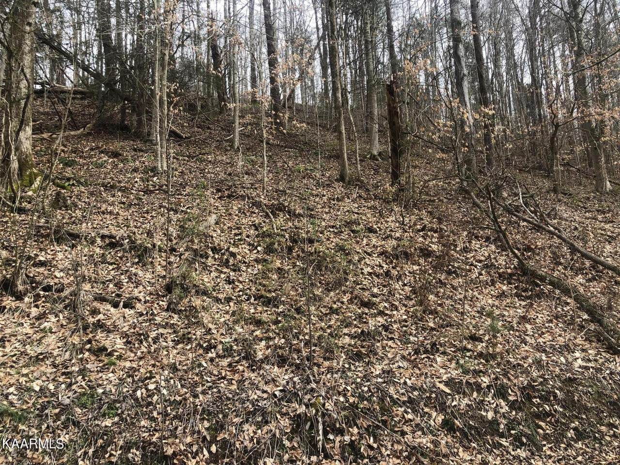 Shiloh Church Rd - Photo 1