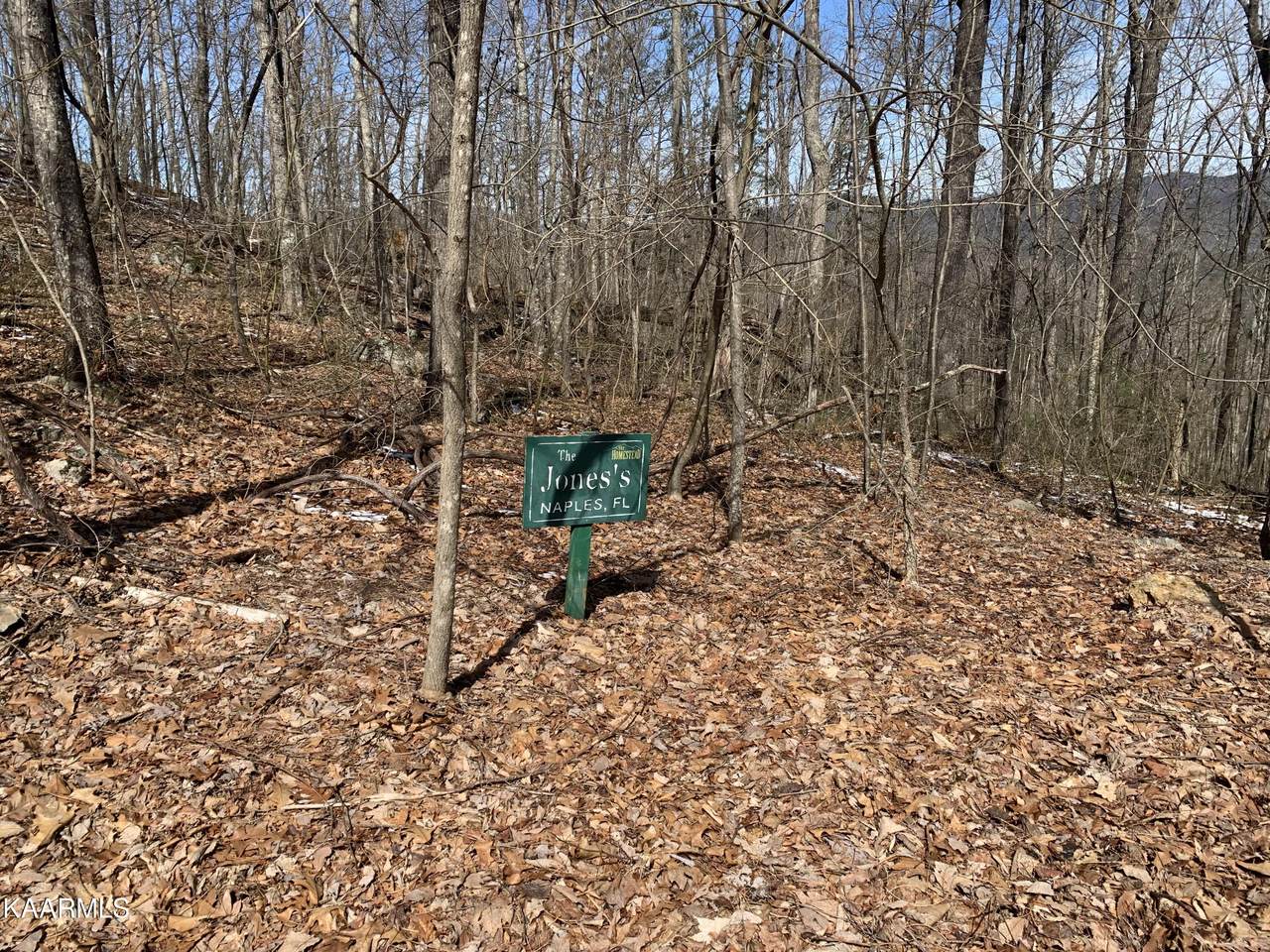 Lot 49 Patriot Lane - Photo 1