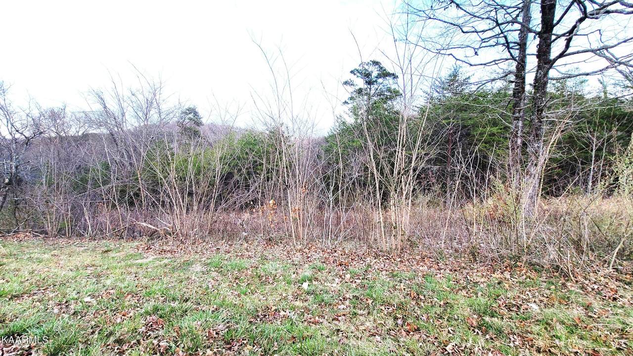 Emerald Ave - Photo 1