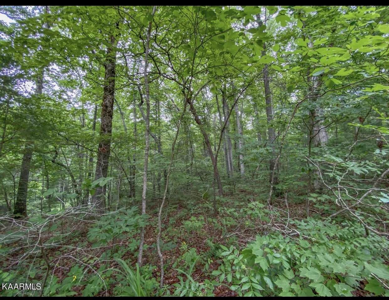 758 David Crockett Rd - Photo 1
