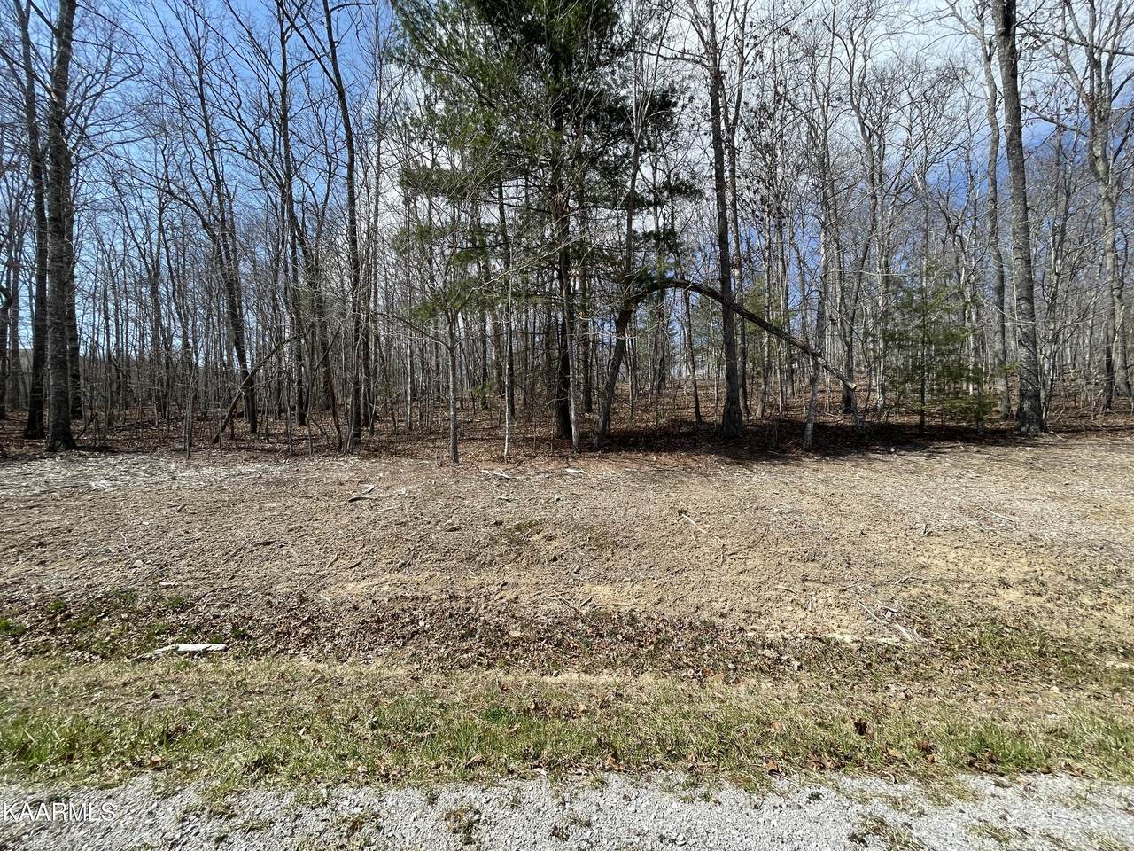 Woodridge Circle - Photo 1