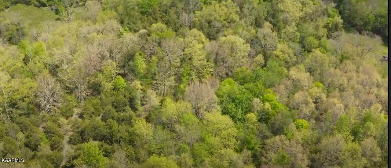 00 Mulberry Gap Rd - Photo 1
