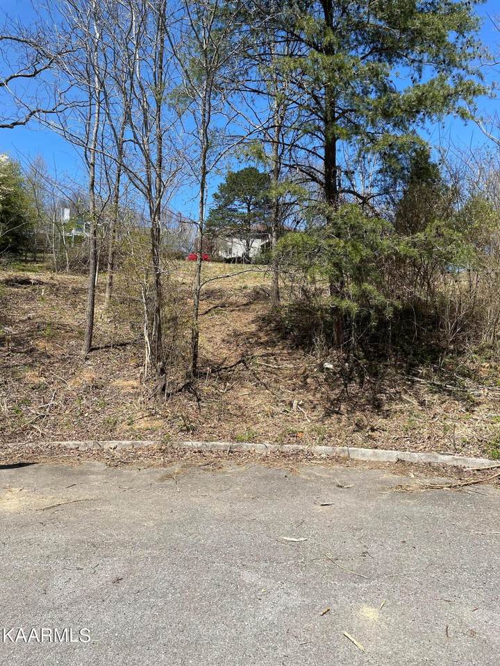 675 Bona Vista Lane - Photo 1
