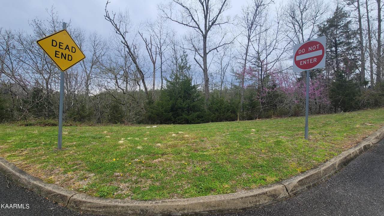 Eagle Springs Rd - Photo 1