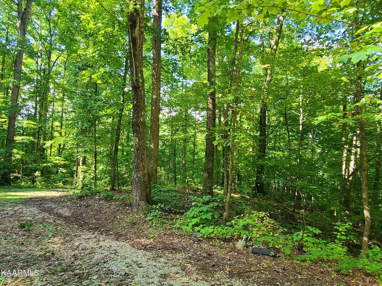 Lot 9 Walden Flats Way - Photo 1