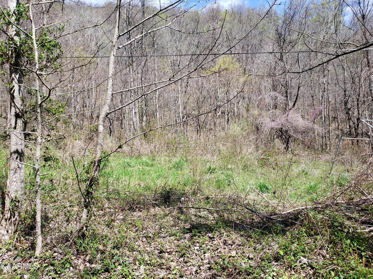 Beans Fork Rd - Photo 1
