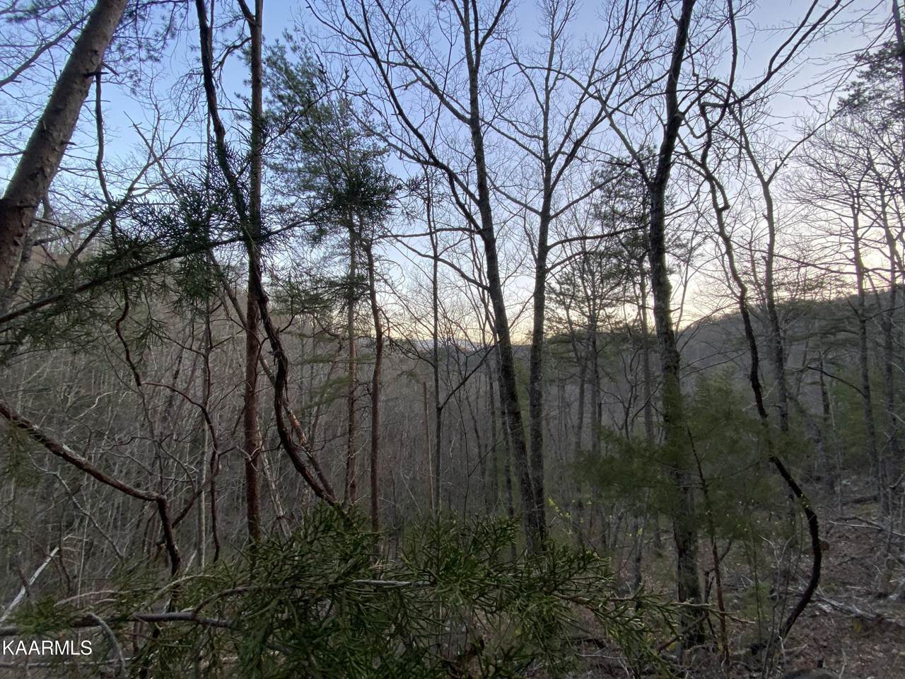 https://bt-photos.global.ssl.fastly.net/kaar/1280_boomver_1_1187749-2.jpg