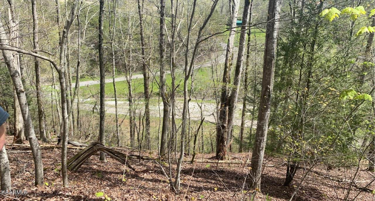 Laurel Bluff Rd - Photo 1