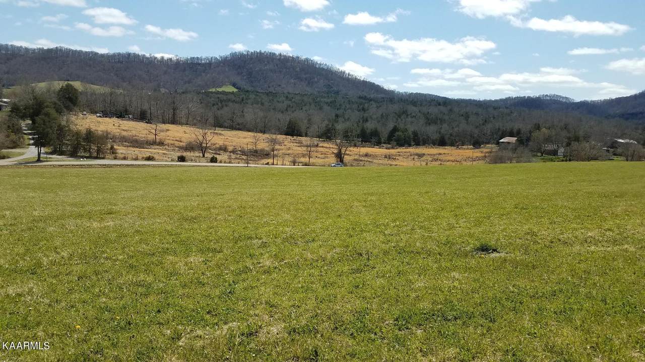 Cedar Fork Rd - Photo 1
