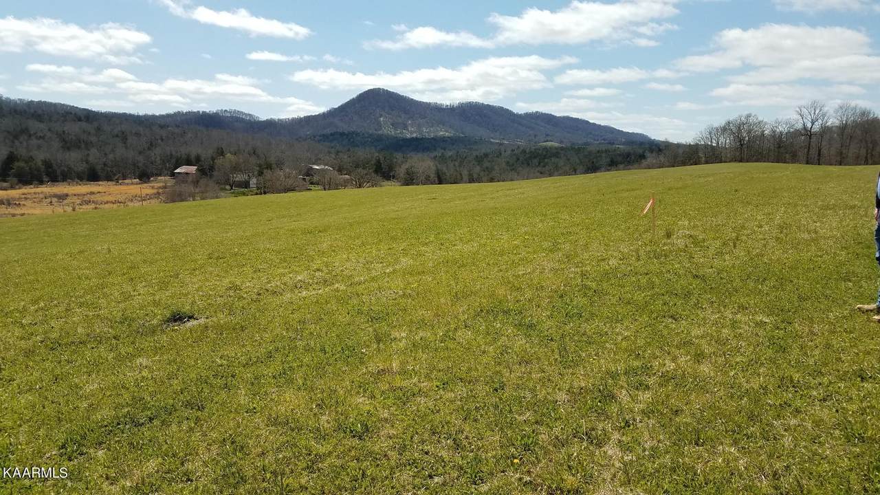 Cedar Fork Rd - Photo 1