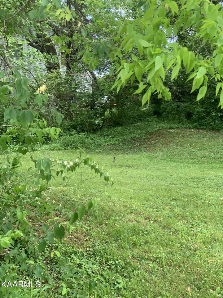 2404 Center Ave Ave - Photo 1