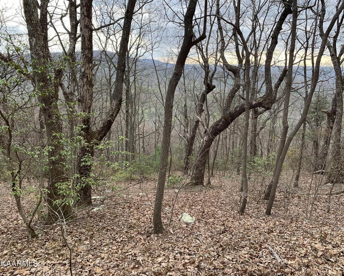 Lot 238 Renegade Mountain Pkwy - Photo 1