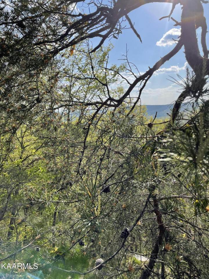 Overlook Rd Rd - Photo 1