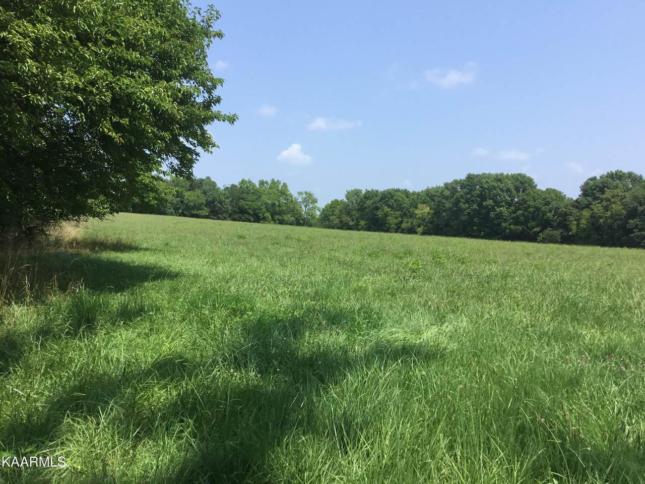 1550 Poplar Hill Rd - Photo 1