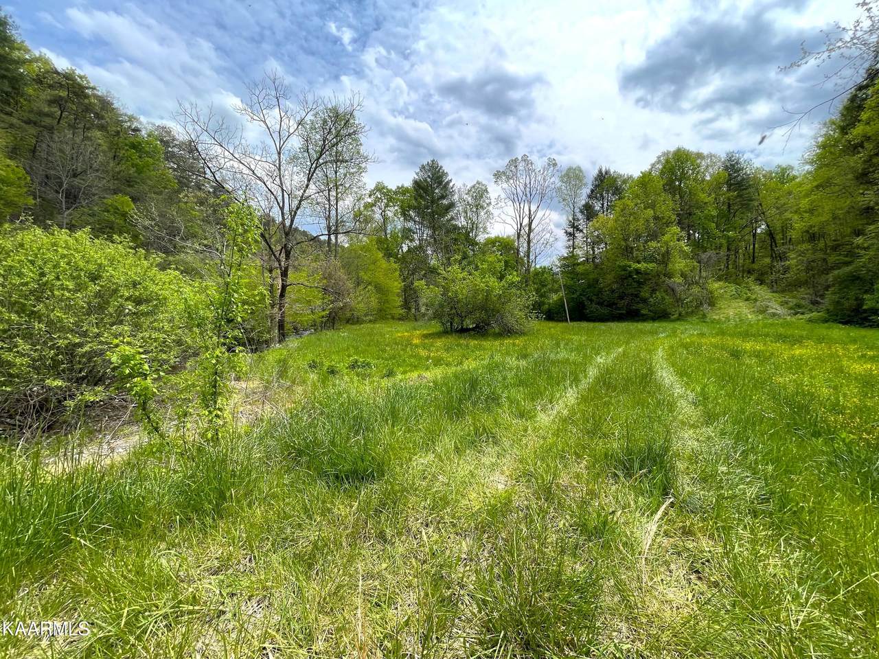 295 Dry Fork Rd - Photo 1