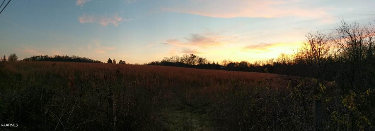 Martin Mill Pike - Photo 1