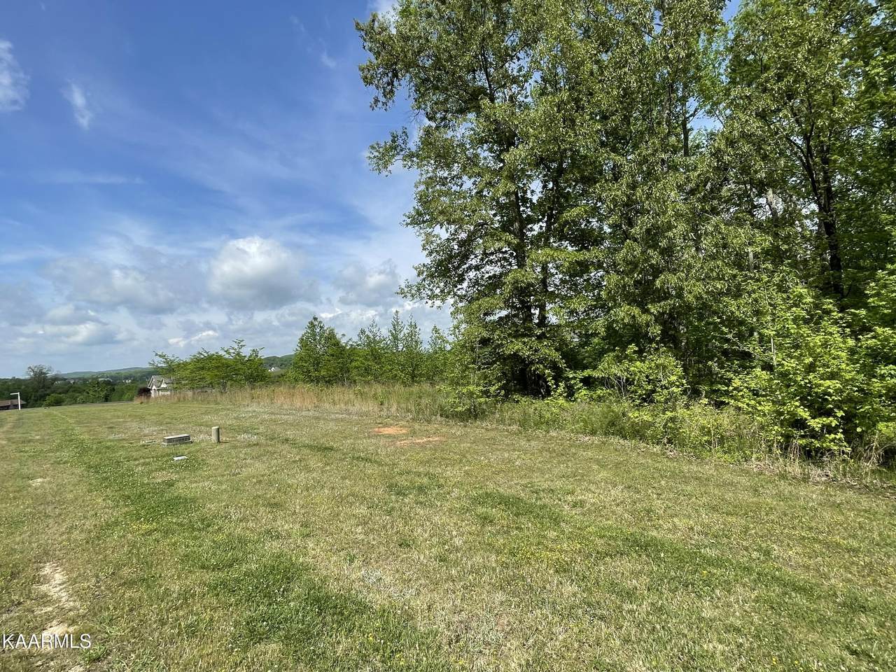 Lot 467 W Shore Drive - Photo 1