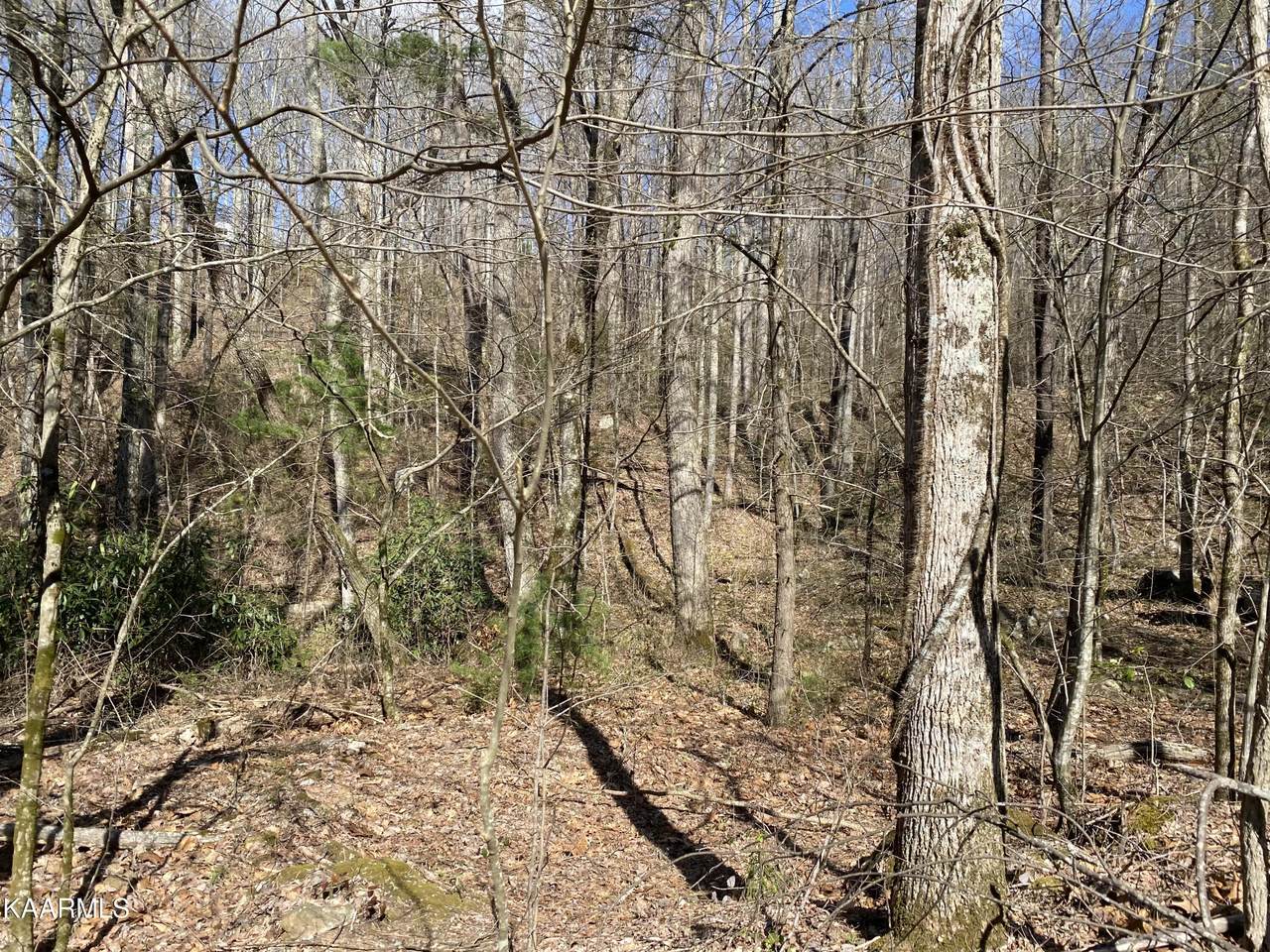 Lot 22 Alpine Drive - Photo 1